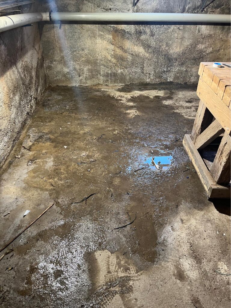 How to treat mold in your home