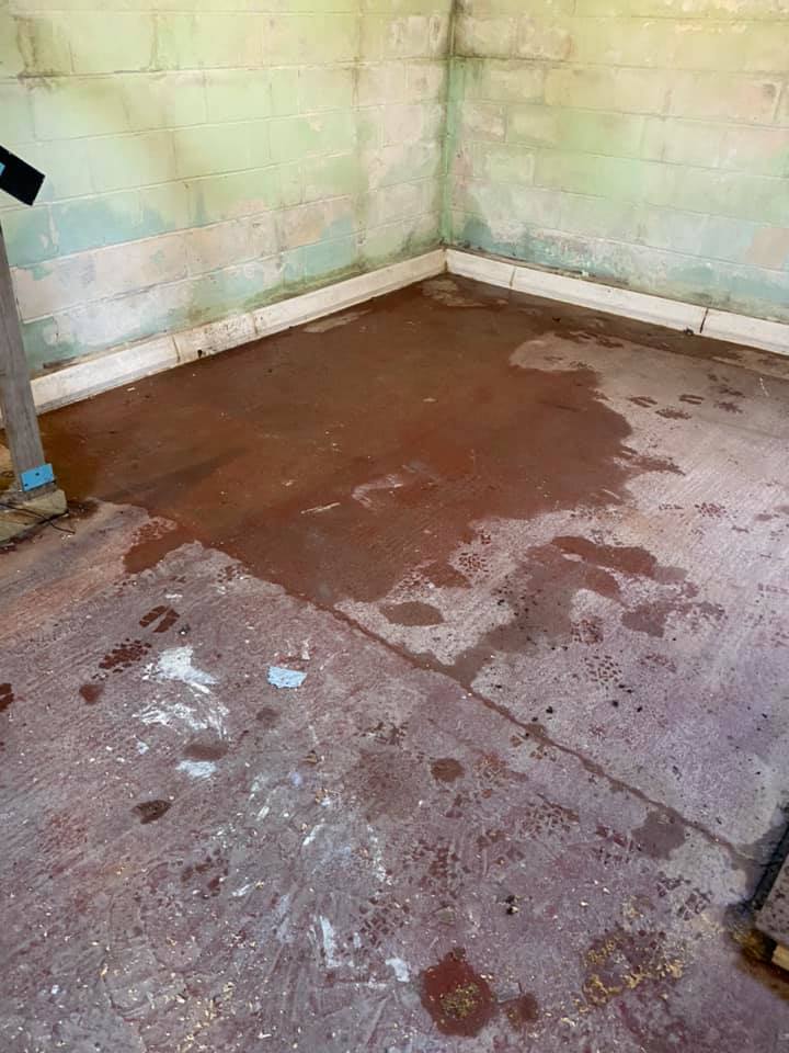 Prevent Mold With Basement Waterproofing