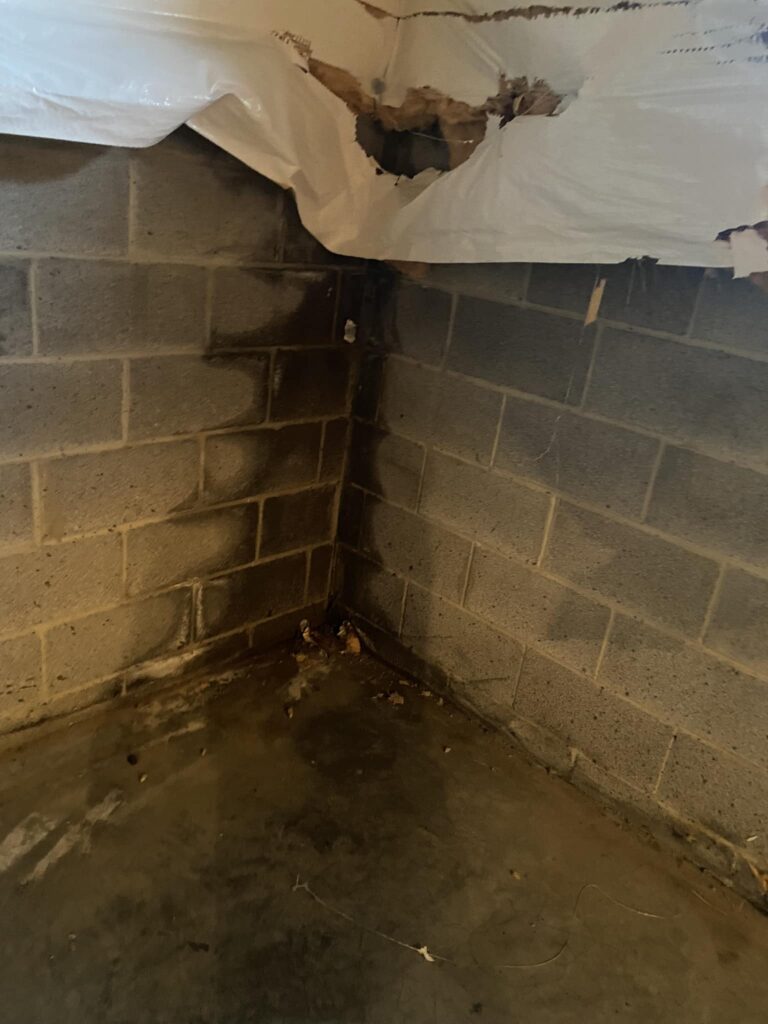 Why You Shouldn’t DIY Your Basement Waterproofing