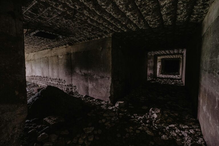 The Top 5 Crawlspace Problems and How to Solve Them