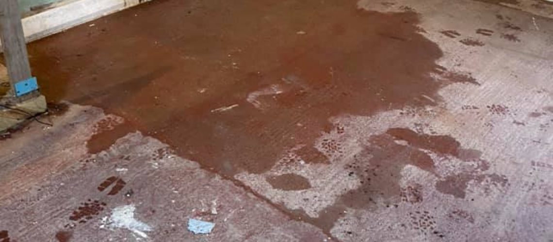 Wet basement floor with visible water stains and footprints, highlighting the need for basement waterproofing to prevent mold growth and related health issues.